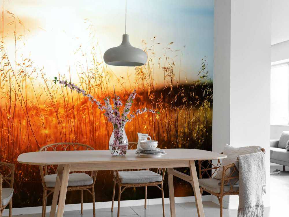 Een zonnige dag op de weide