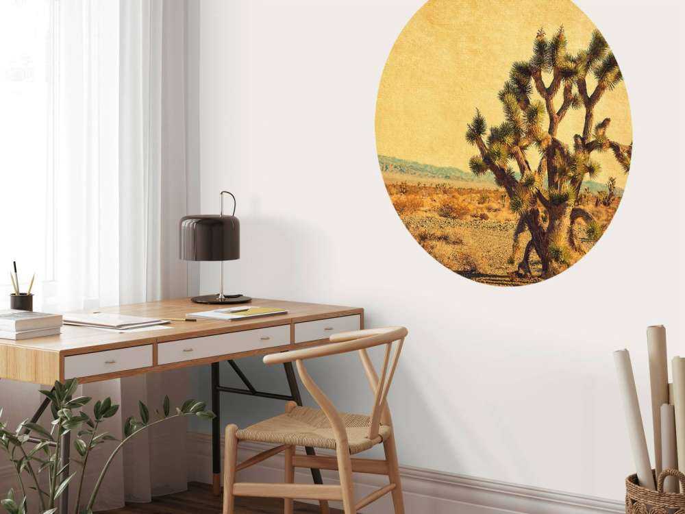 Grote cactus in een woestijnlandschap