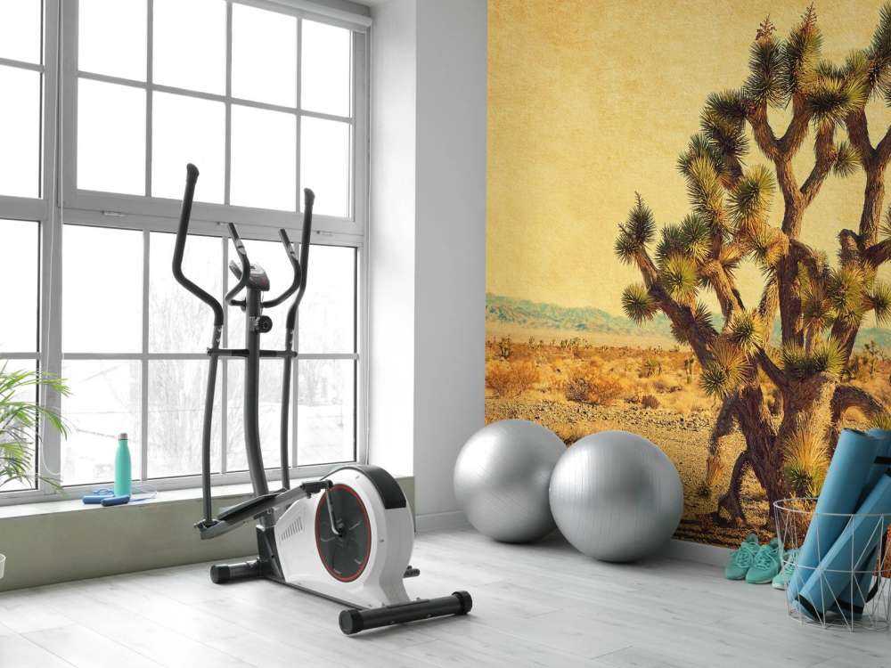 Grote cactus in een woestijnlandschap