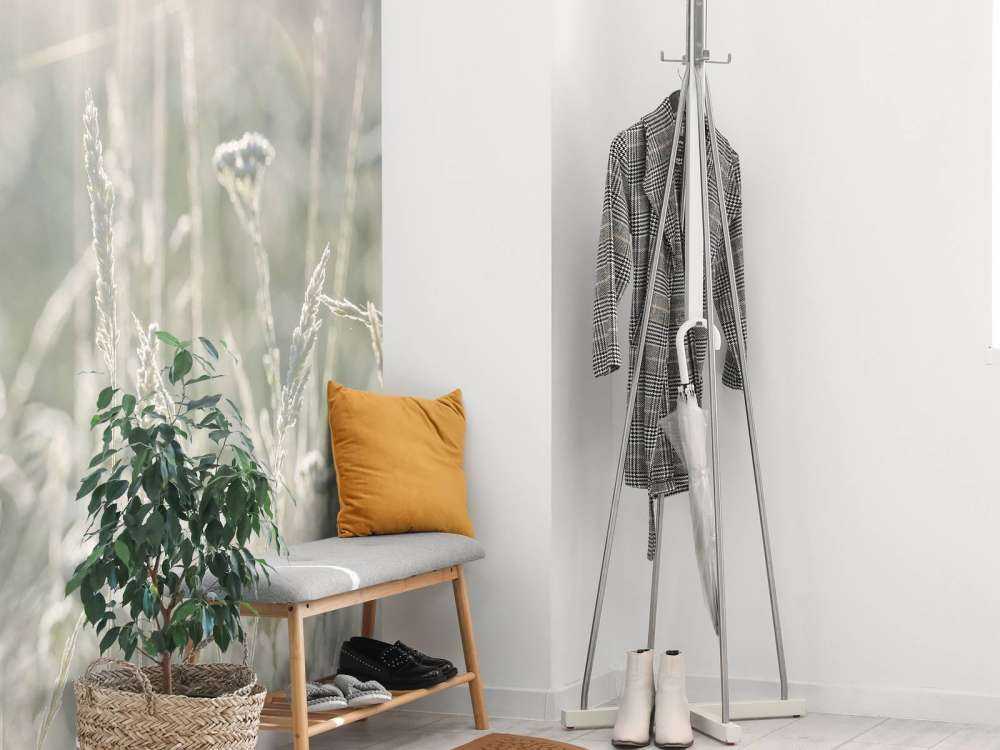 Weide planten in de zon met een wazige achtergrond