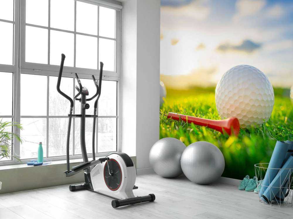 Golfballen met houder op kunstgras