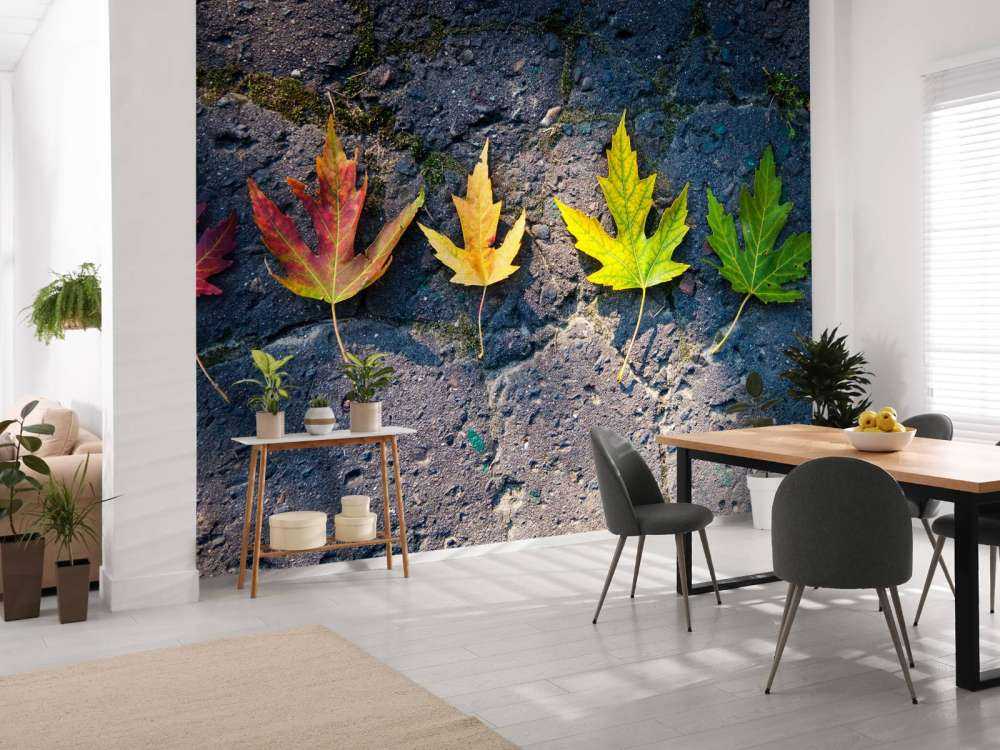 Kleurrijke bladeren in de herfst