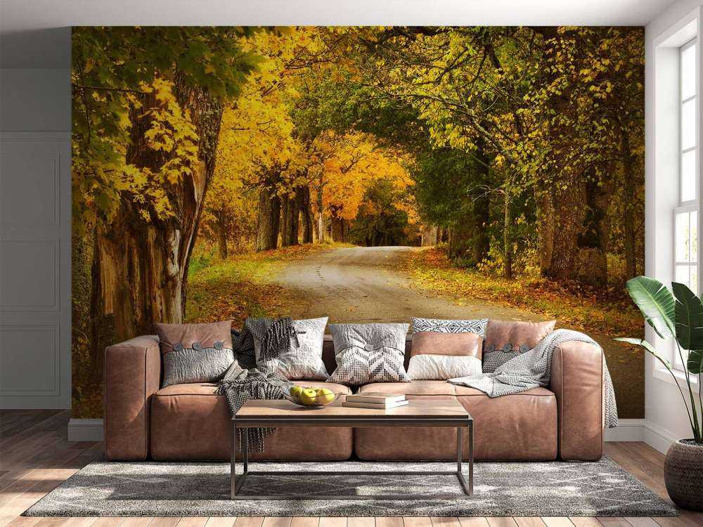 Weg met Bomen in de Herfst