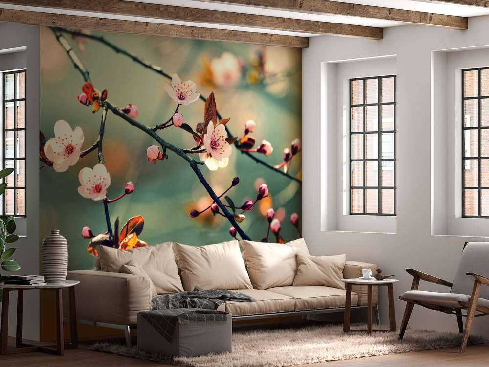 Bloesem in Volle Bloei met Groene Achtergrond