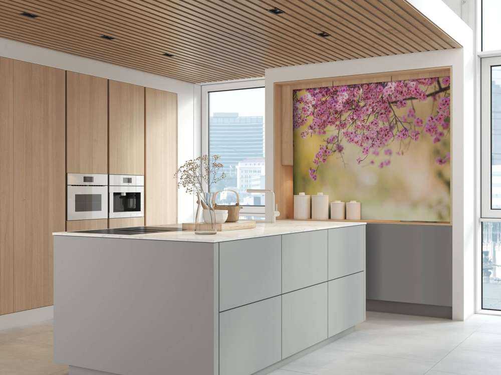 Bloesem met wazige achtergrond