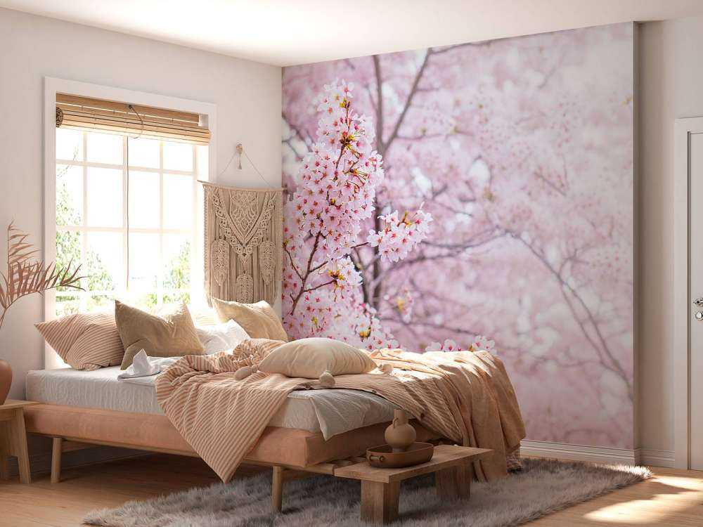 Lichte Bloesem in Korea