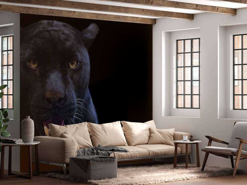 Panter met een zwarte achtergrond