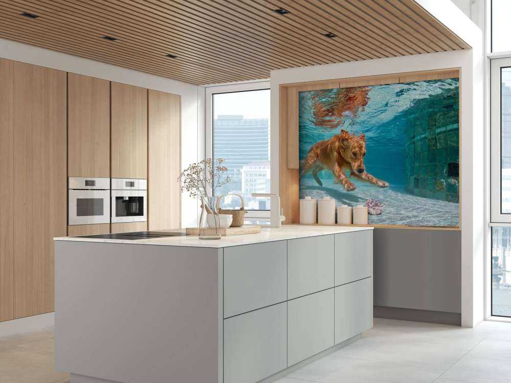 Labrador speelt onderwater