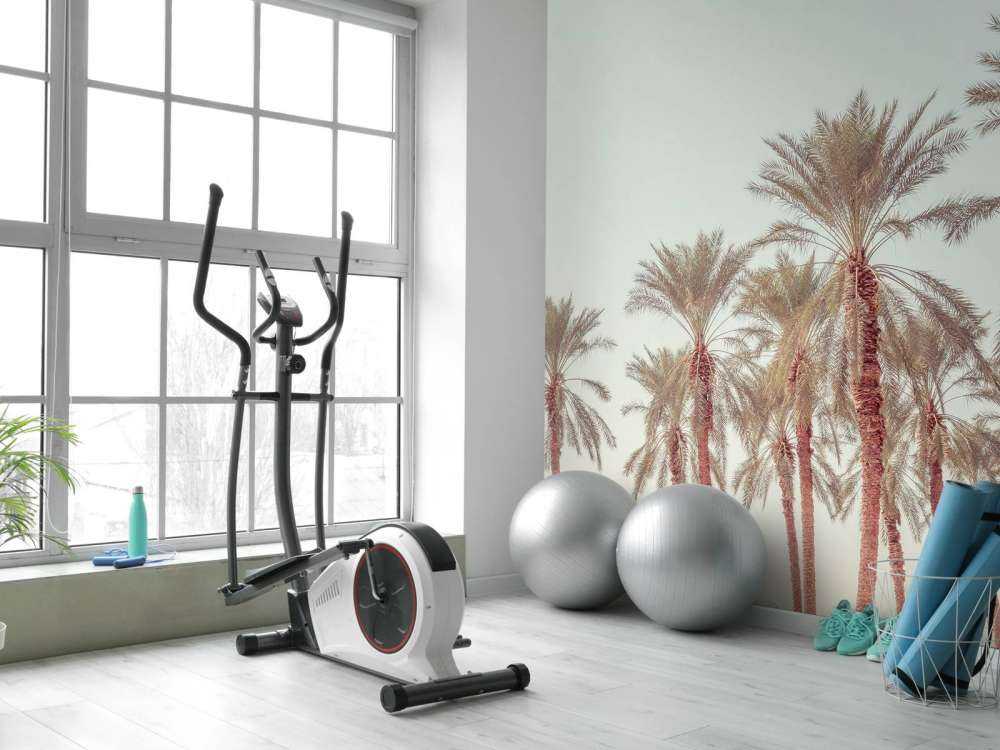 Tropische palmbomen aan de kust