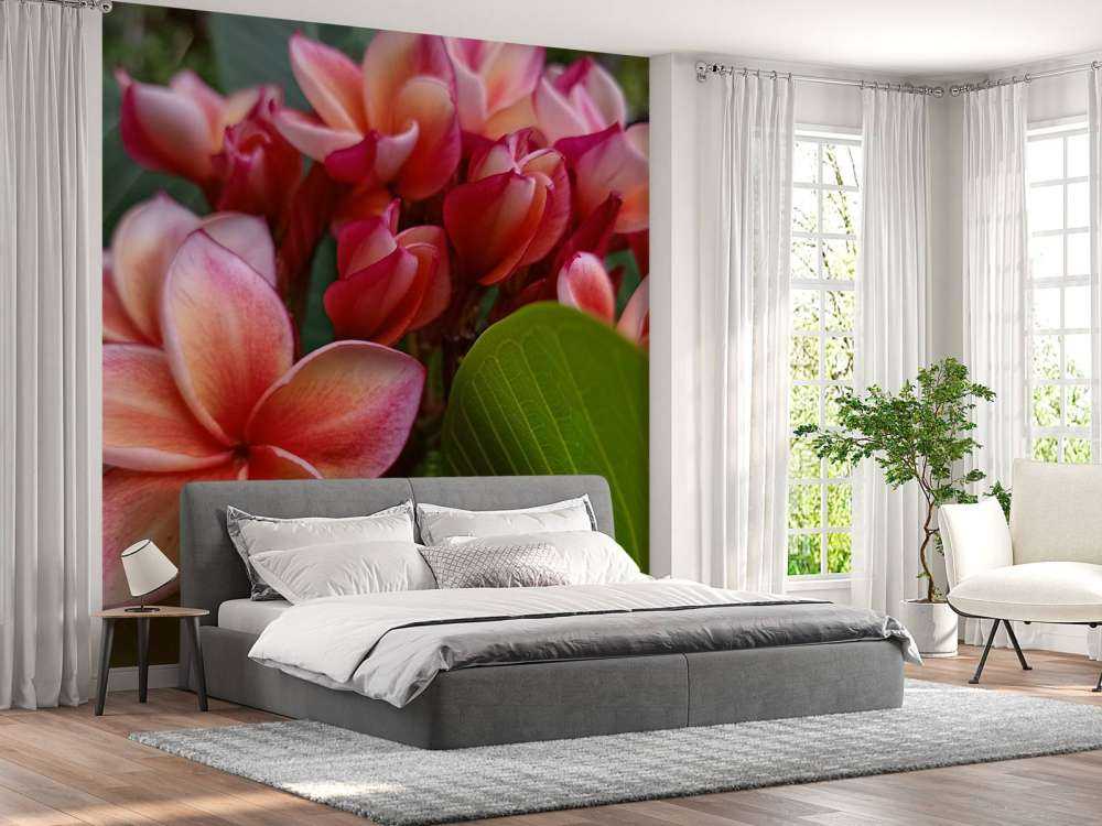 Tropische bloemen