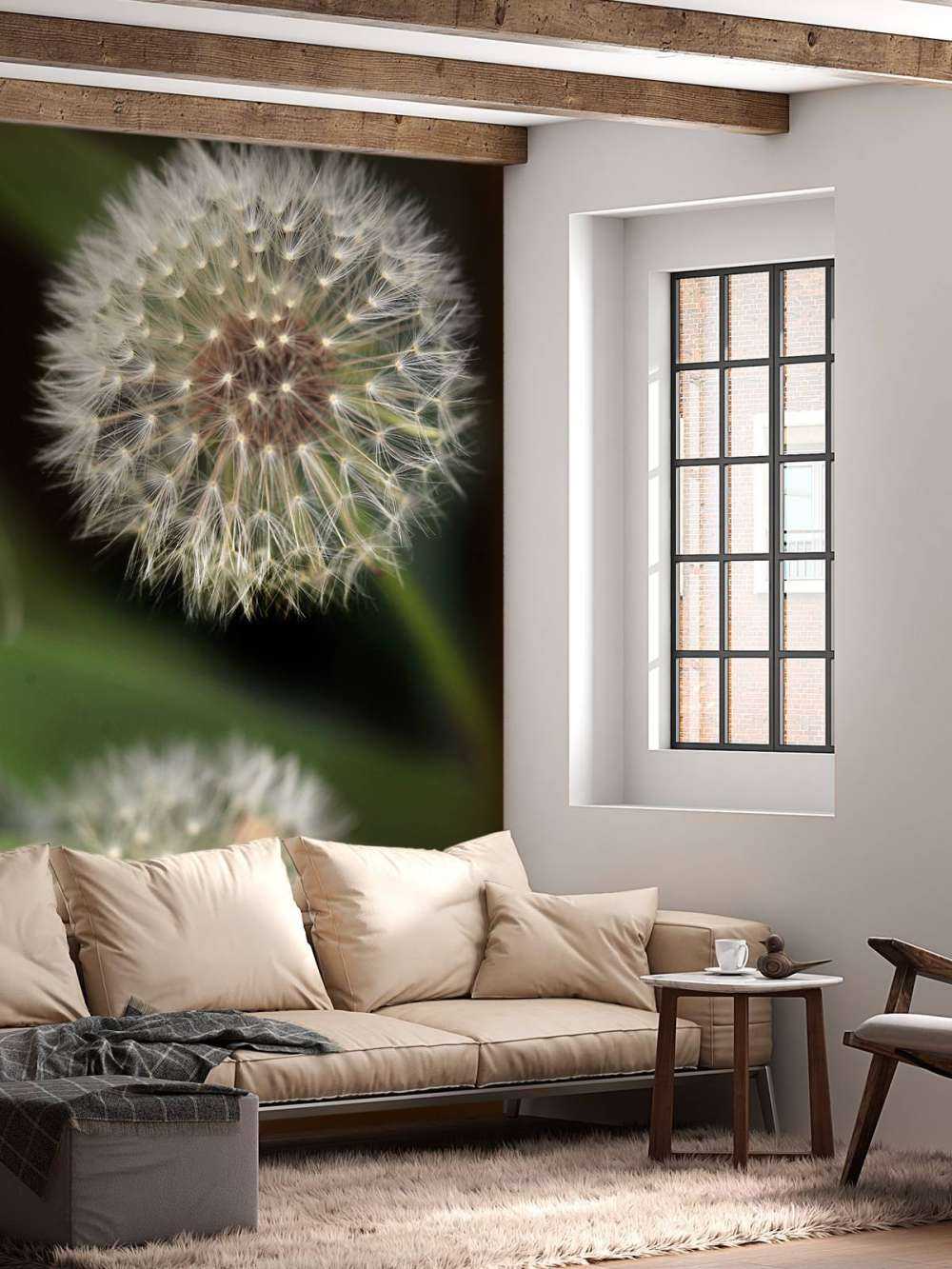 Close-up paardenbloemen