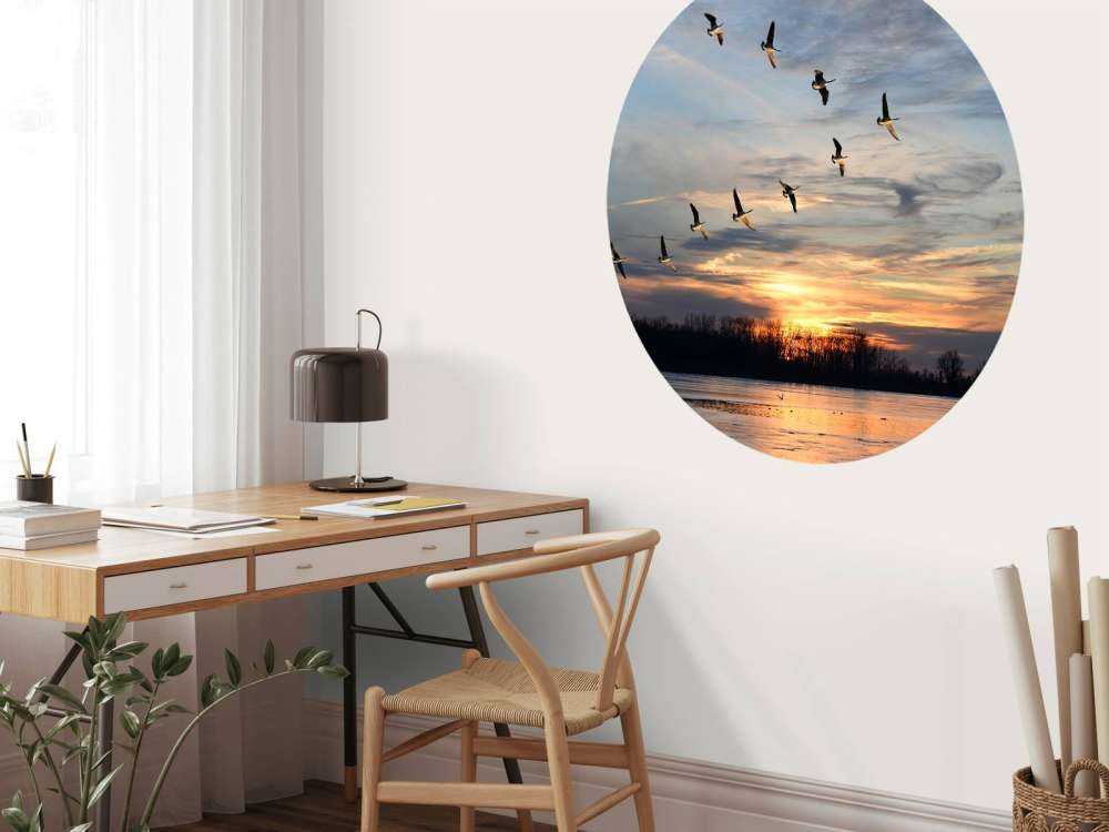 Grote Canadese ganzen in V-formatie