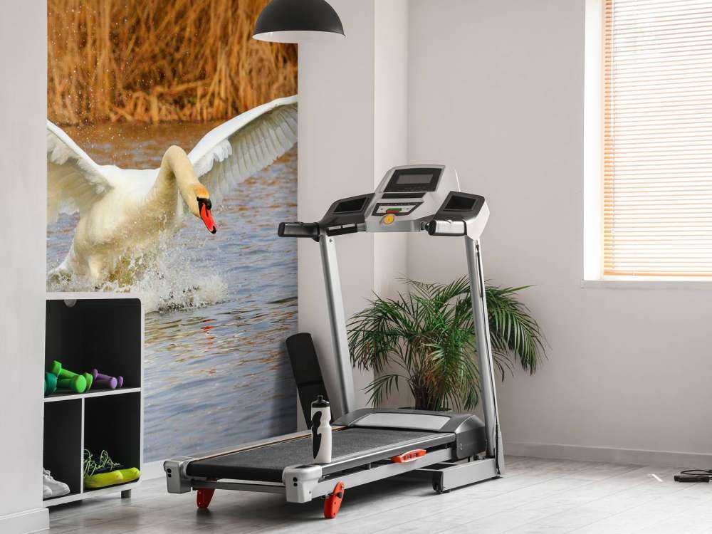 Witte zwaan vliegt weg