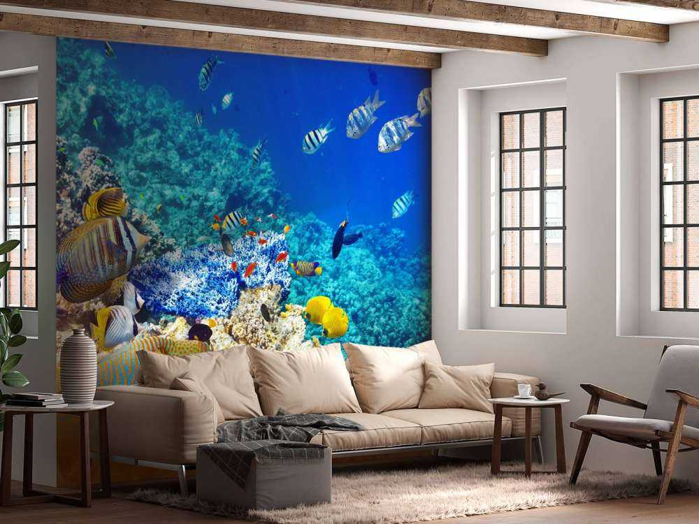 Exotische vissen in de oceaan