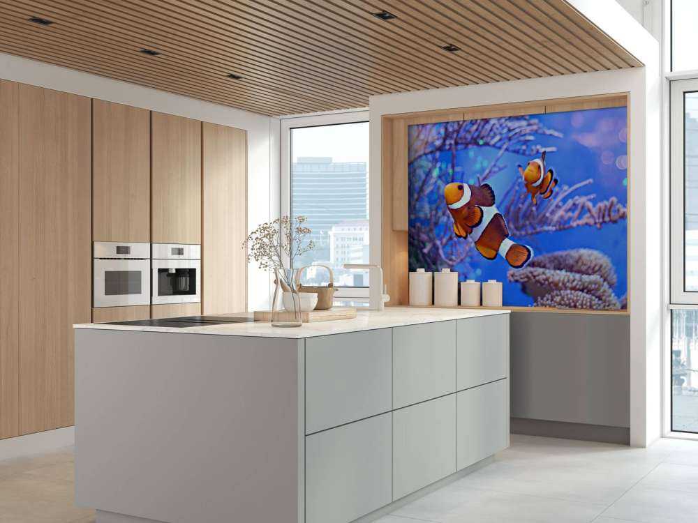 Anemoonvissen in een groot aquarium