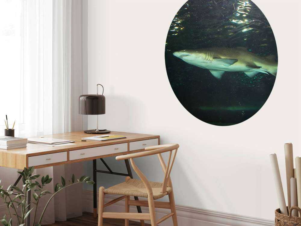 Grote witte haai in een aquarium