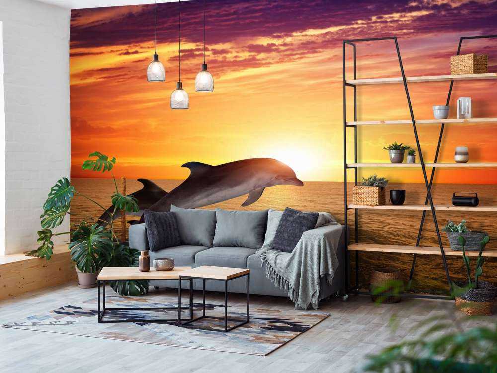 Dolfijnen bij zonsondergang