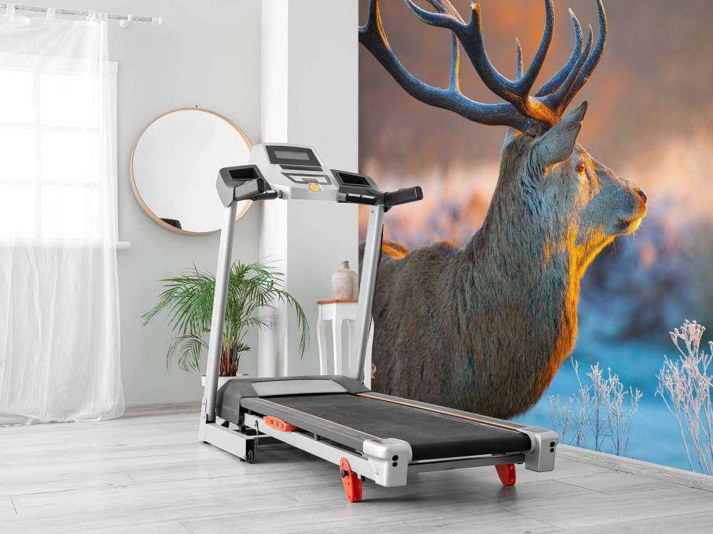 Hert met Wazige achtergrond