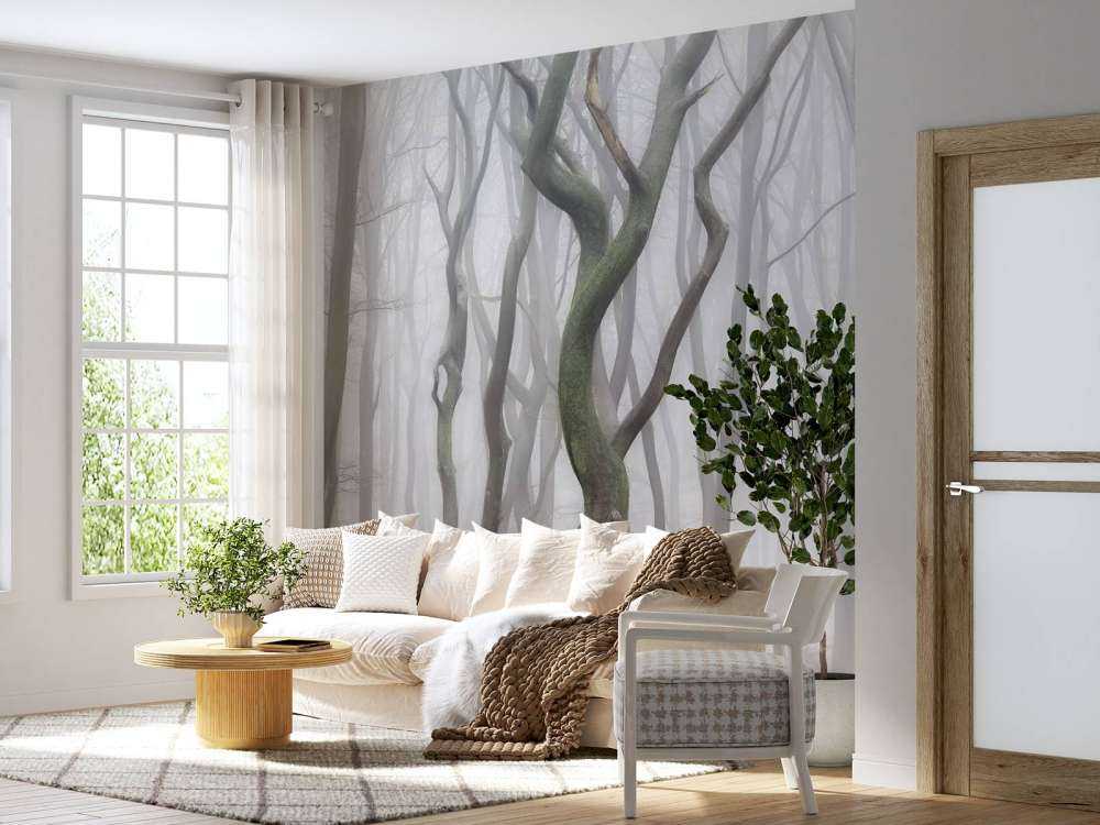 Early Morning Shuffle