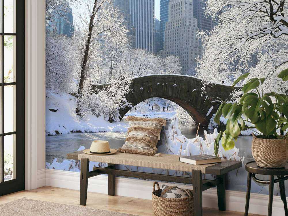 Winter in New York
