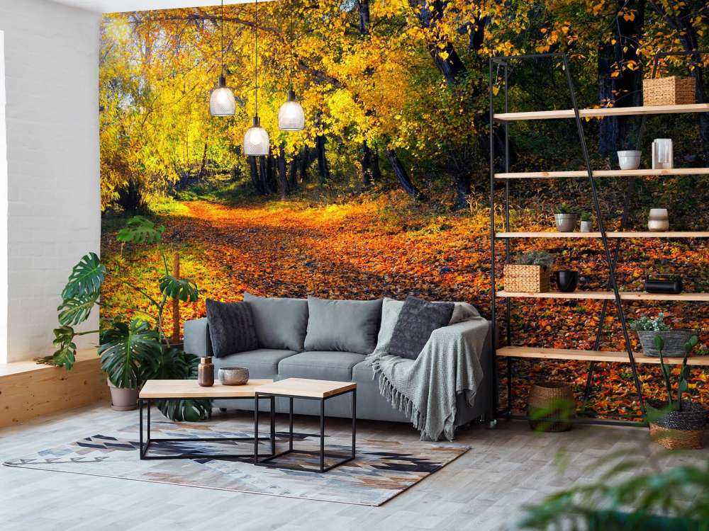 Herfstbos met Bomen en Bladeren