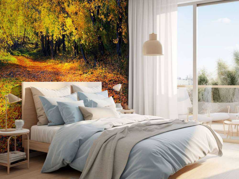 Herfstbos met Bomen en Bladeren