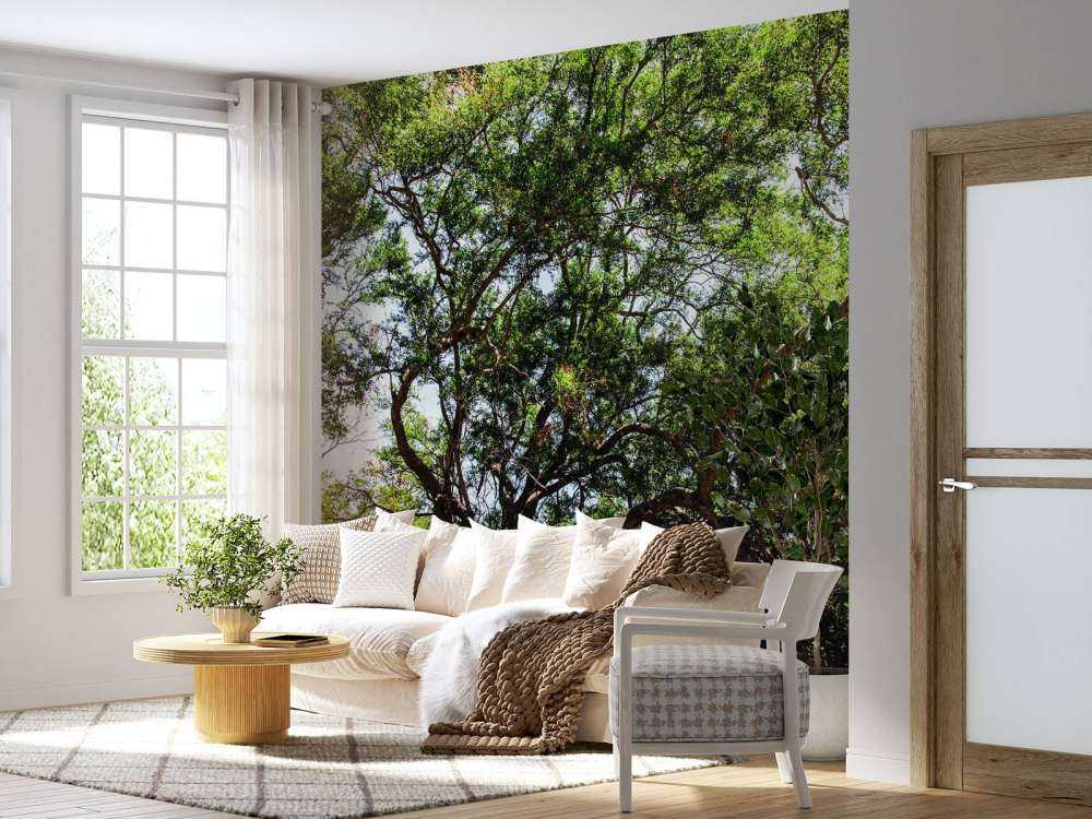 Oude Boom in Jungle