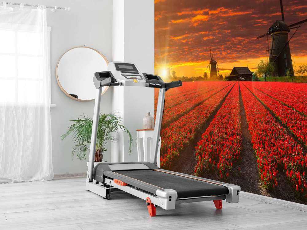 Hollands tulpenveld onder een rode lucht