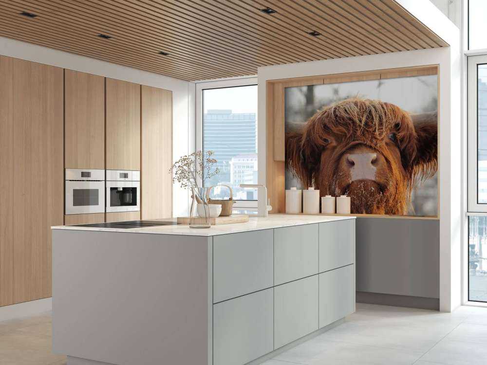 Grappige Portretfoto van Hooglander