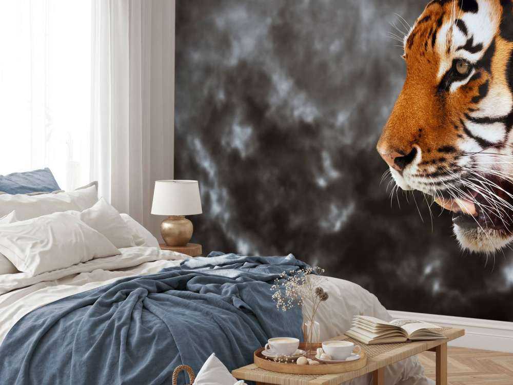 Wilde Tijger op zoek naar prooi