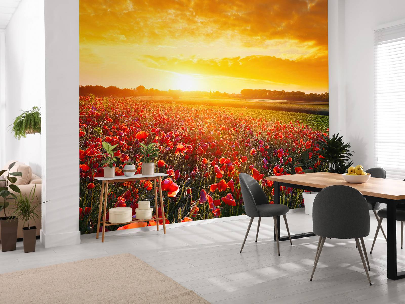 Klaprozen en zonsondergang