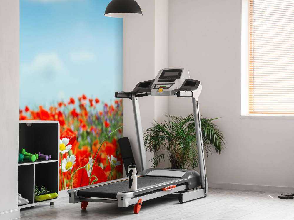 Klaprozen en Madeliefjes