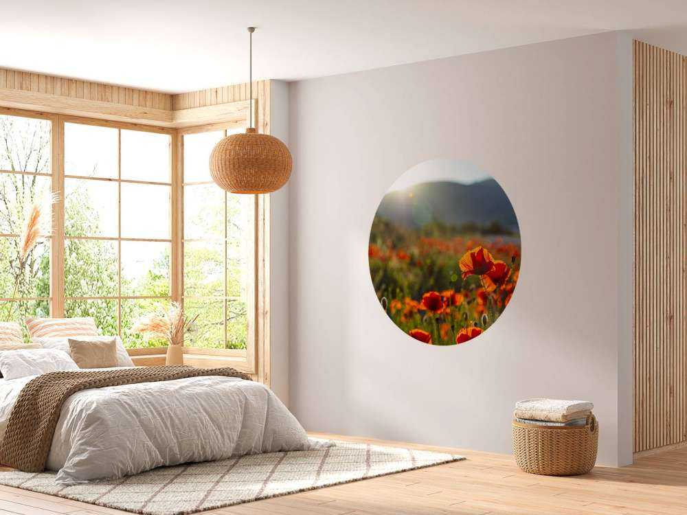 Klaprozen met zonnestralen