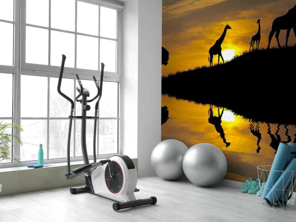 Zonsondergang in een tropisch gebied