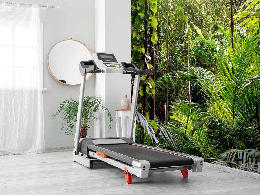 Vol gegroeid oerwoud