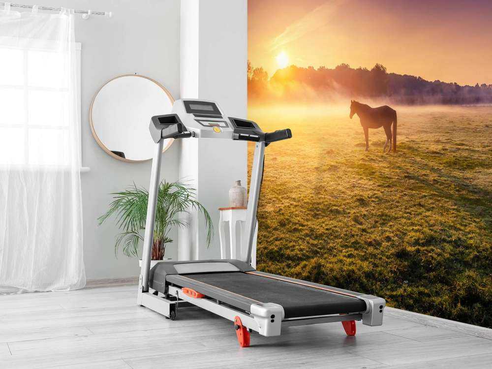 Grazende paarden bij zonsondergang