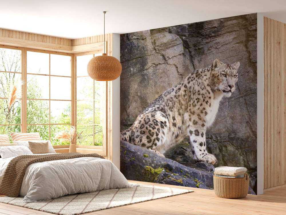 Volwassen sneeuwluipaard op een rots