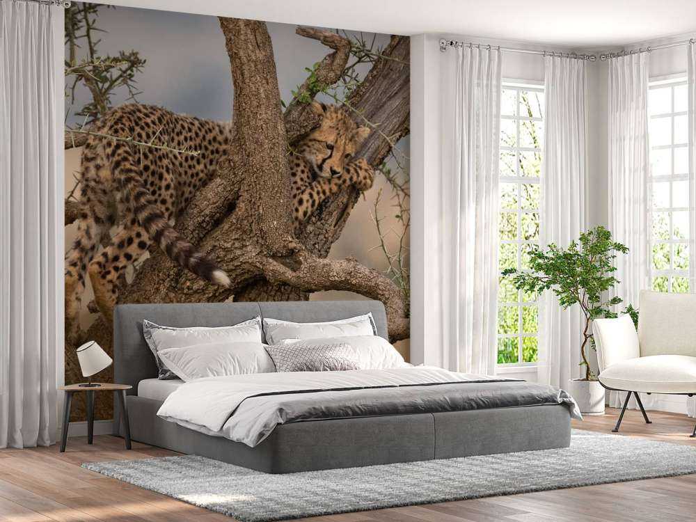 Luipaard krabt aan een boom