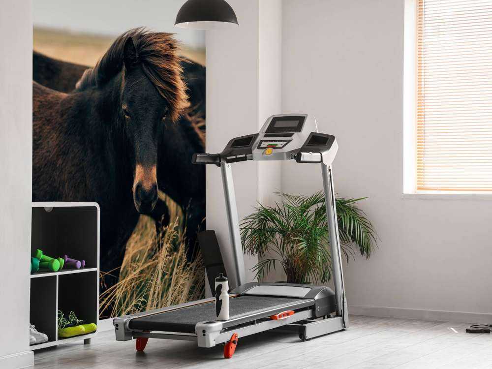 Prachtige paarden in de wind