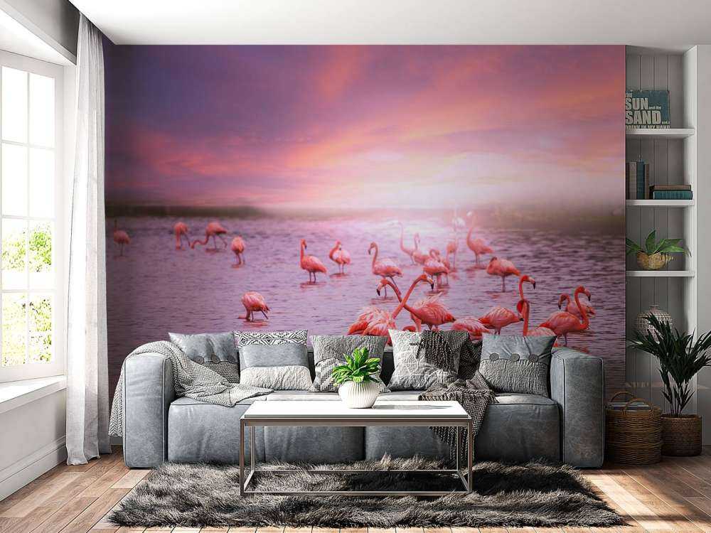 Flamingo's met zonsondergang