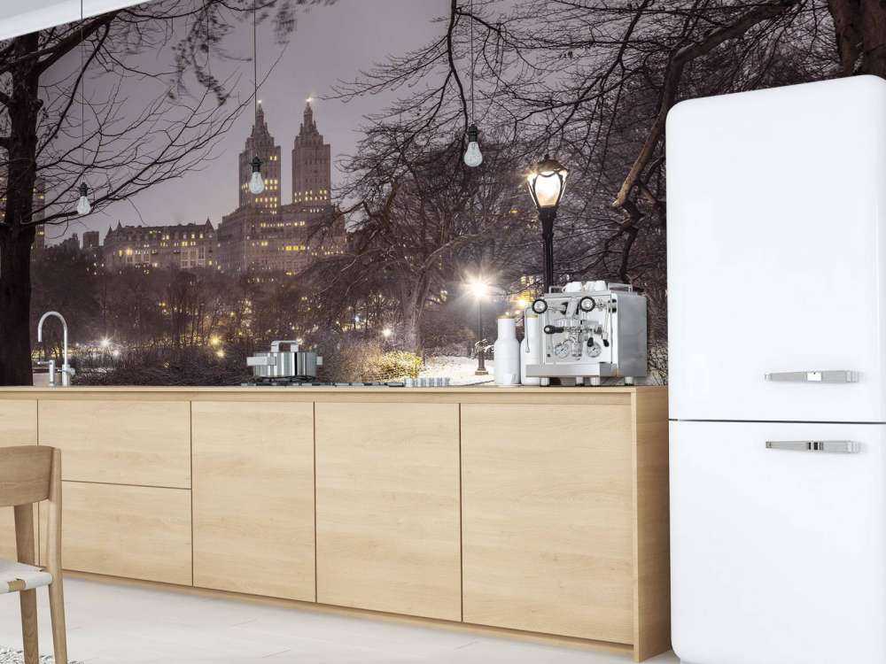 Besneeuwd Central park