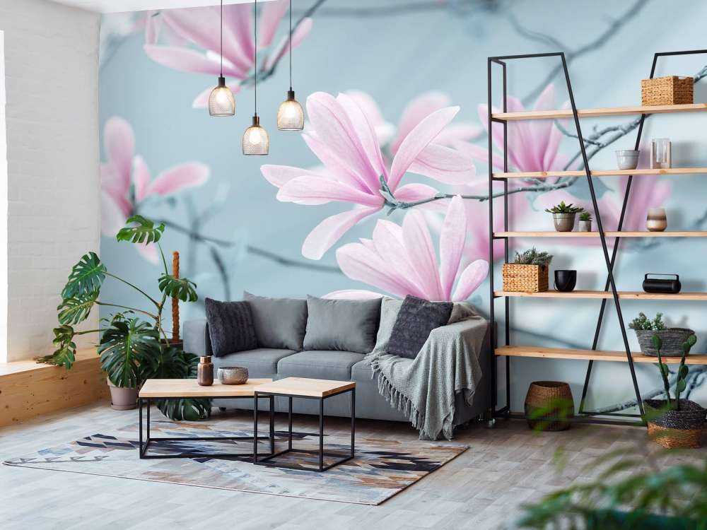 Magnolia bloemen