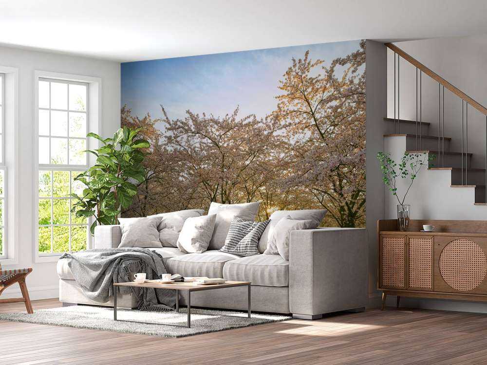 Bloeiende bloesem bomen