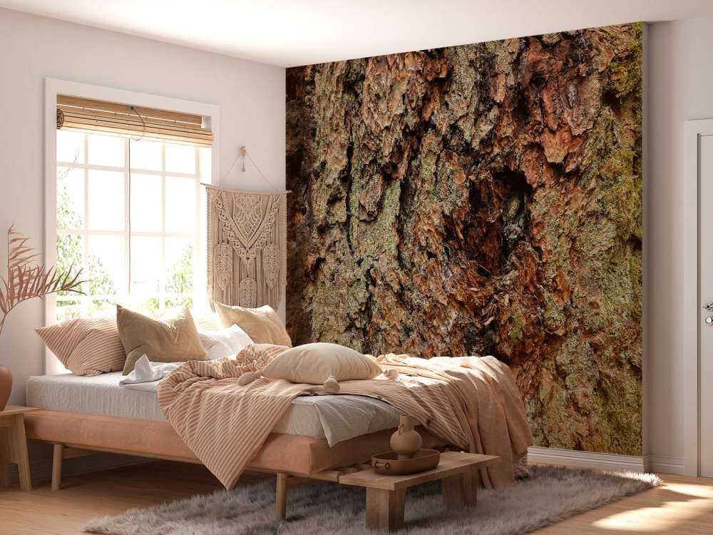 Boomschors oude boom