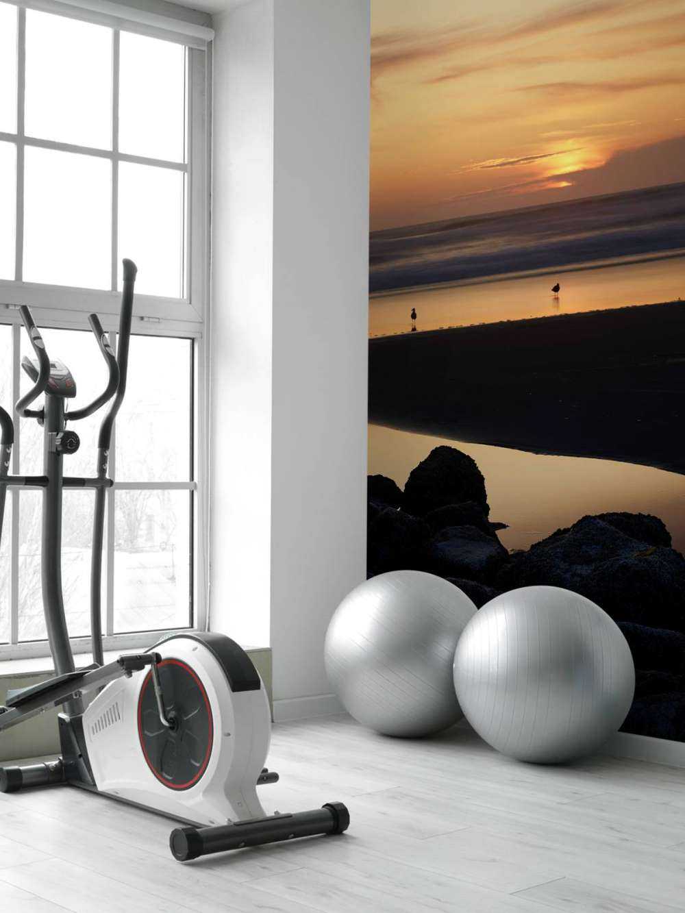 Vogels bij zonsondergang