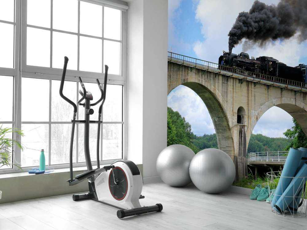 Stoomtrein op een viaduct