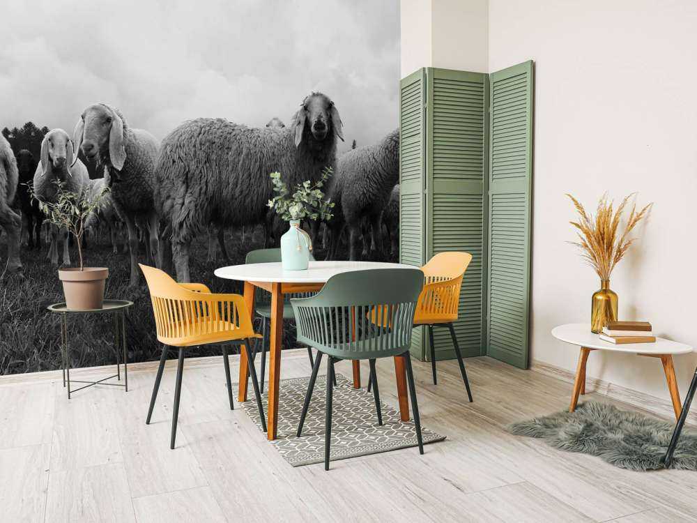 Kudde schapen in zwart-wit