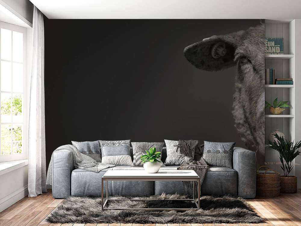 Close-up schaap zwart-wit