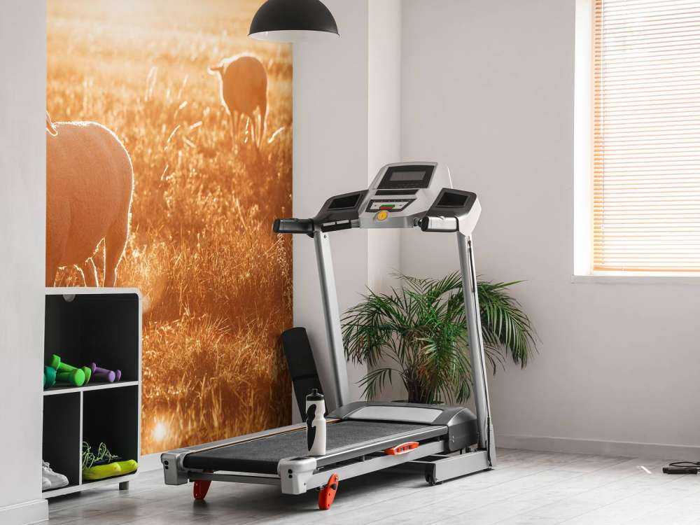 Schaap in prachtig weiland