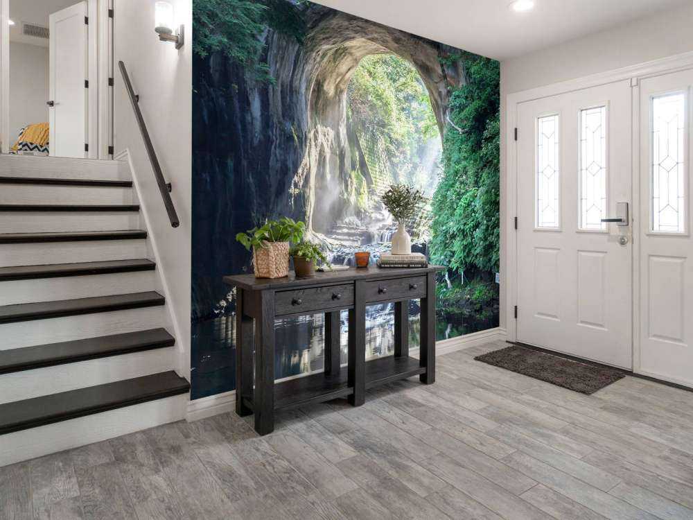 Opening in een regenwoud